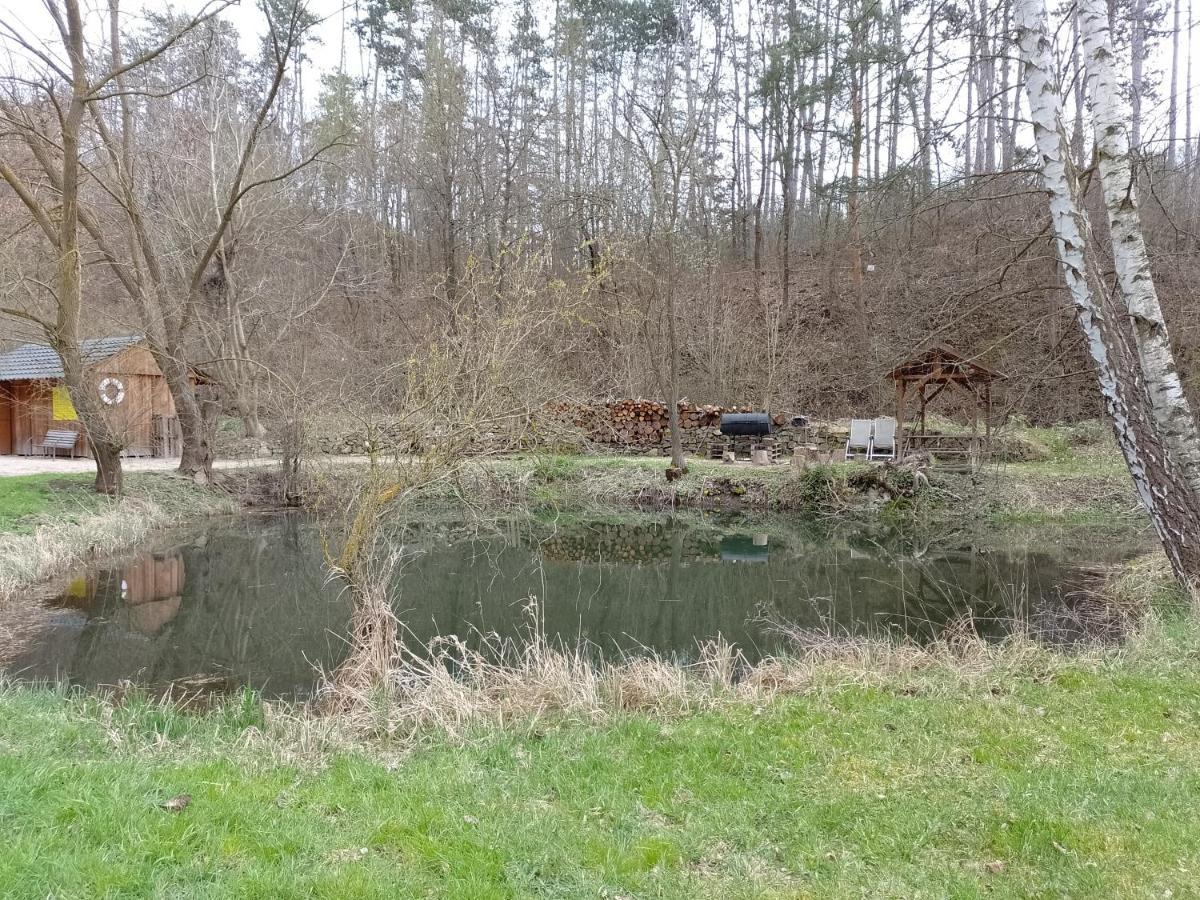 Penzion Litohlavy 17 - Na Samote U Lesa Kraluv Dvur Exterior photo