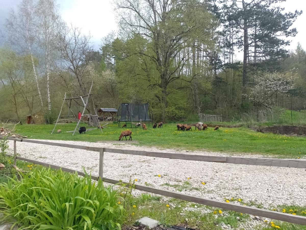Penzion Litohlavy 17 - Na Samote U Lesa Kraluv Dvur Exterior photo