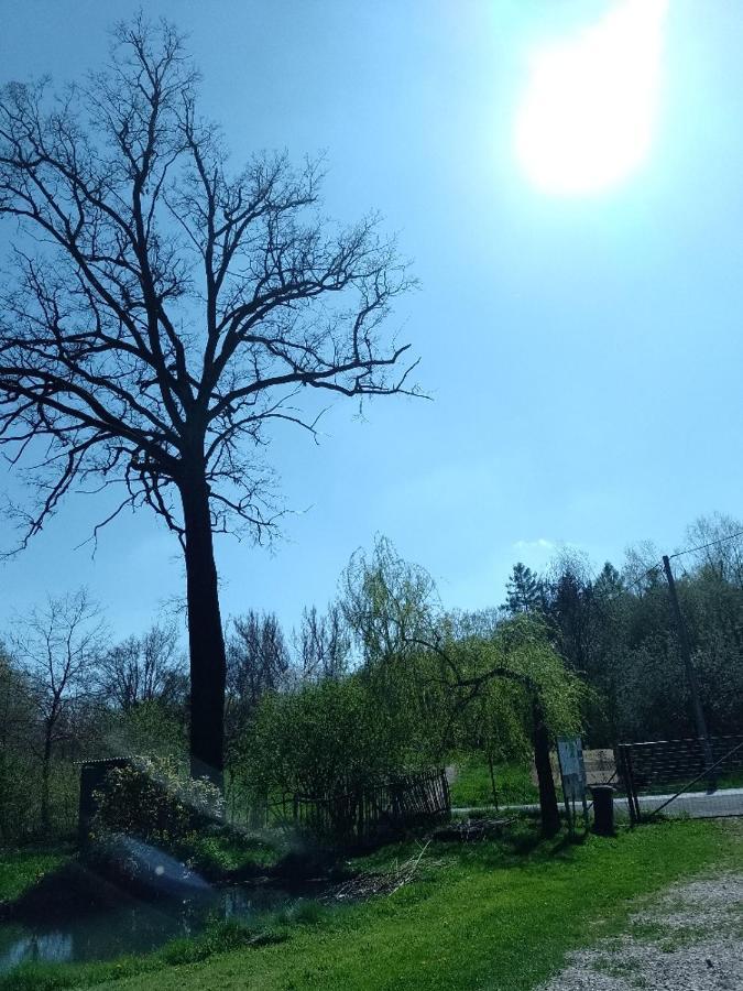 Penzion Litohlavy 17 - Na Samote U Lesa Kraluv Dvur Exterior photo