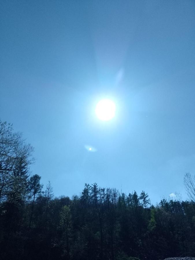 Penzion Litohlavy 17 - Na Samote U Lesa Kraluv Dvur Exterior photo