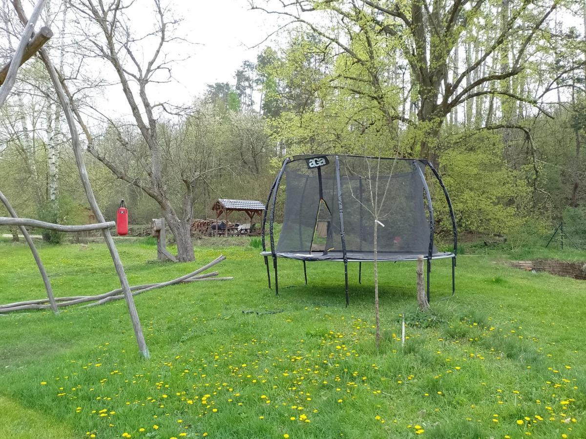 Penzion Litohlavy 17 - Na Samote U Lesa Kraluv Dvur Exterior photo